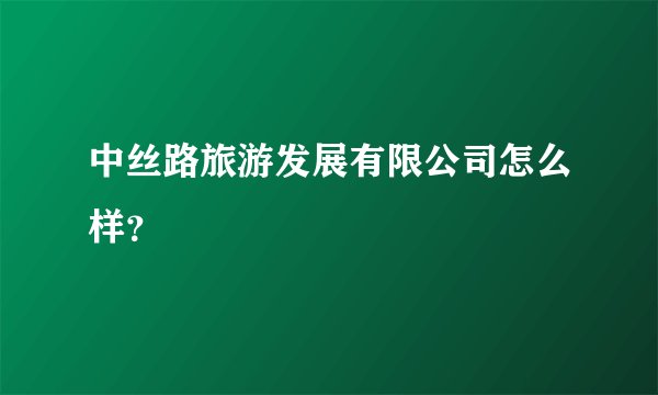 中丝路旅游发展有限公司怎么样？