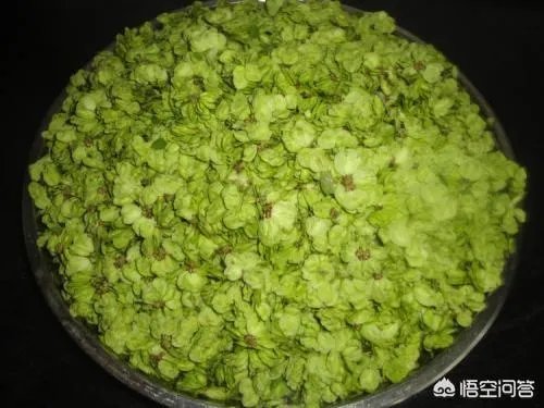 农村田野很多野菜都冒出了头，什么野菜是这个时节比较好采又好吃的？