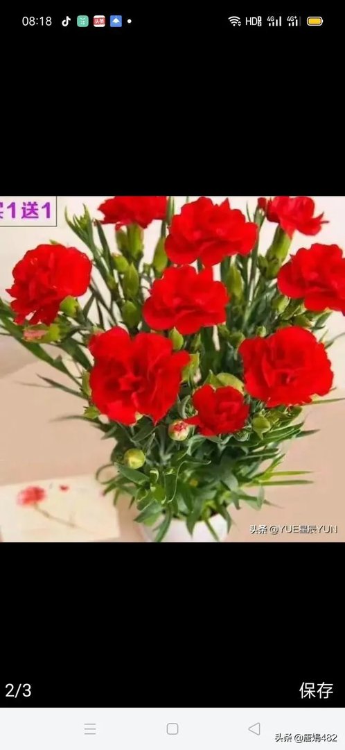 疫情防控越防越严重