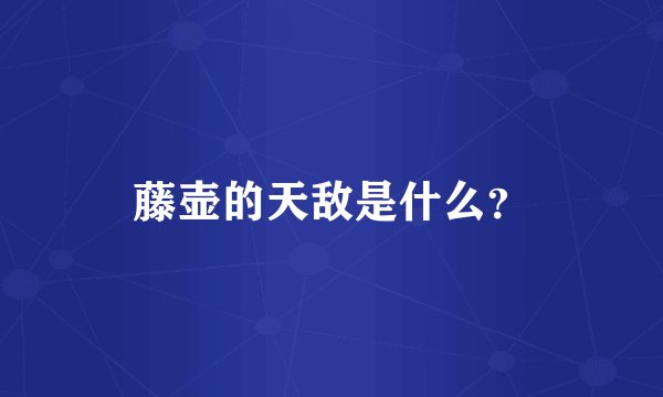 藤壶的天敌是什么？