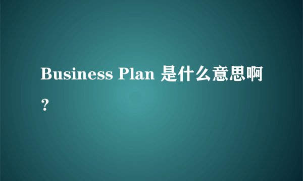 Business Plan 是什么意思啊？